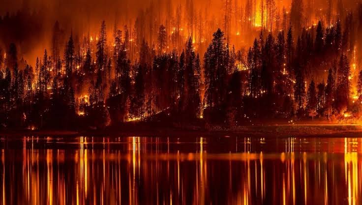 INCENDIO