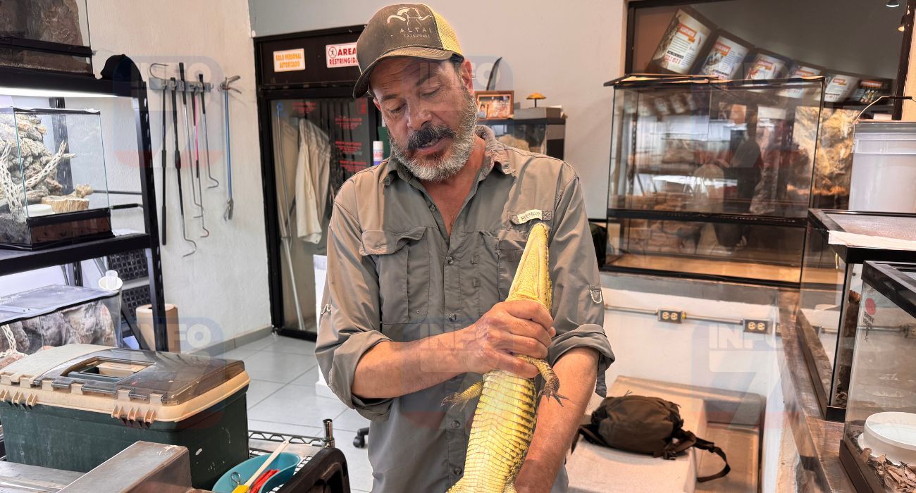 INFO 7 MARCA DE AGUA (1).jpg