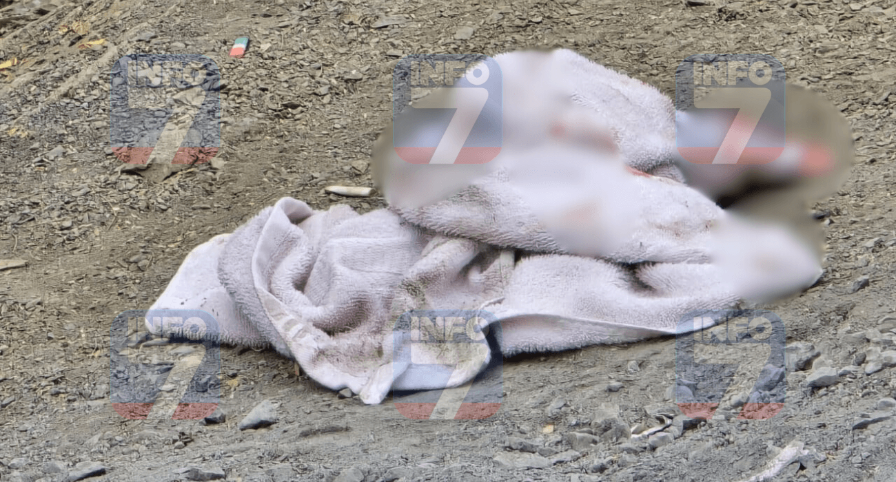 INFO 7 MARCA DE AGUA (3).png