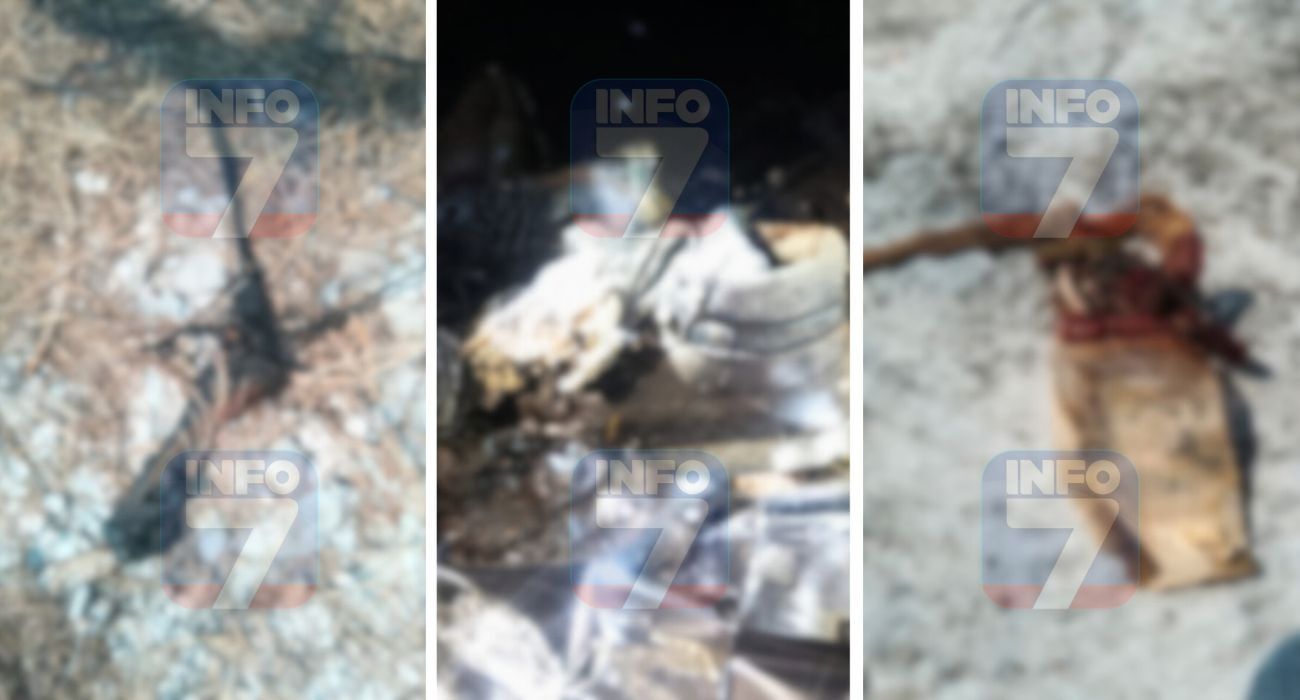 INFO 7 MARCA DE AGUA.jpg