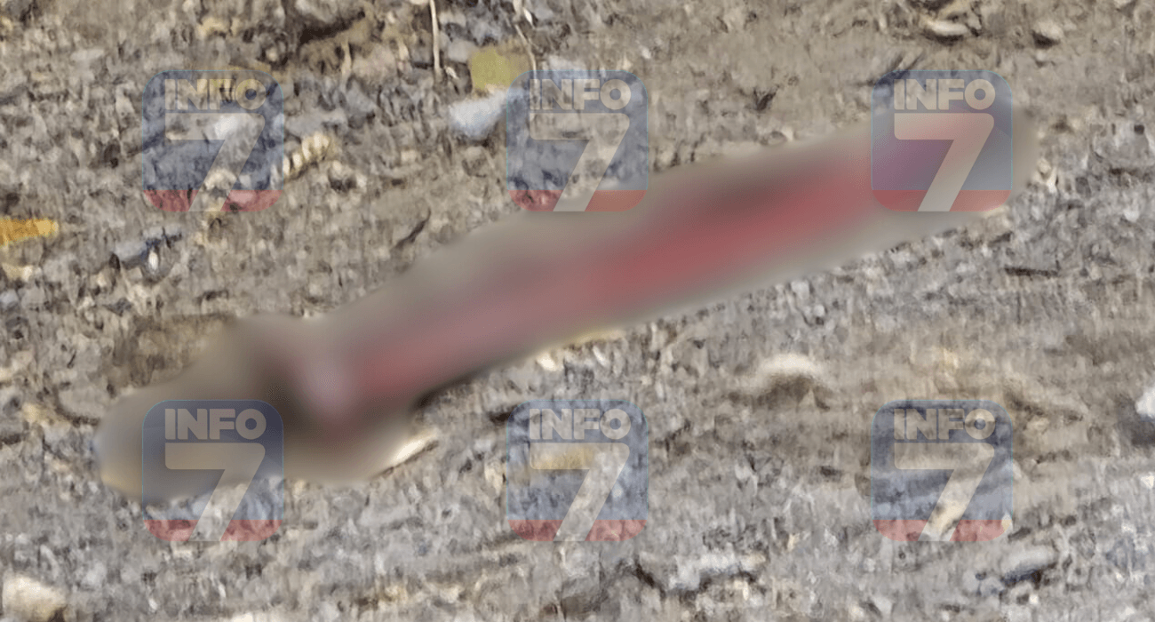 INFO 7 MARCA DE AGUA (5).png