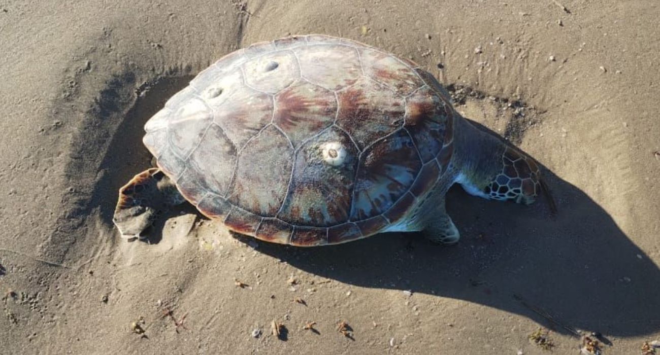 INFO 7 UNA FOTO (84).jpg