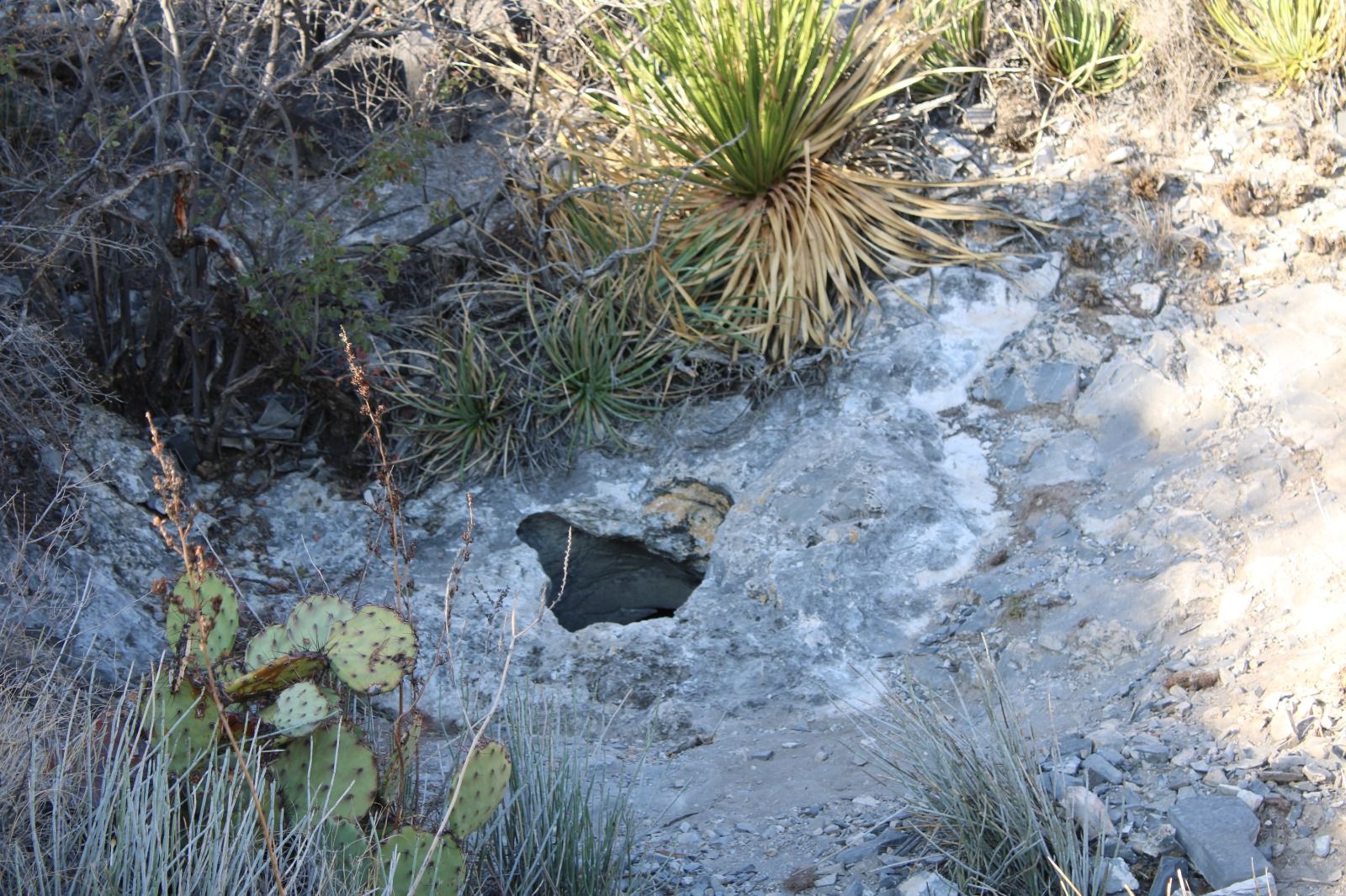 Imagen de WhatsApp 2025-07-02 a las 16.08.34_1786f689.jpg