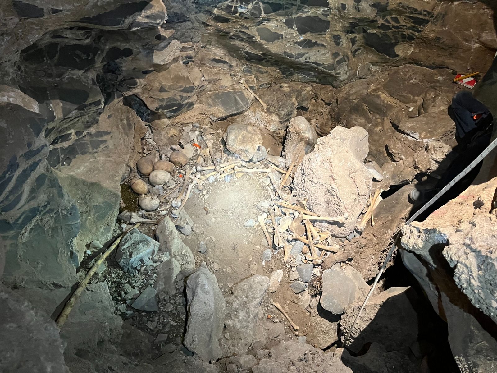 Imagen de WhatsApp 2025-07-02 a las 16.08.34_30666618.jpg