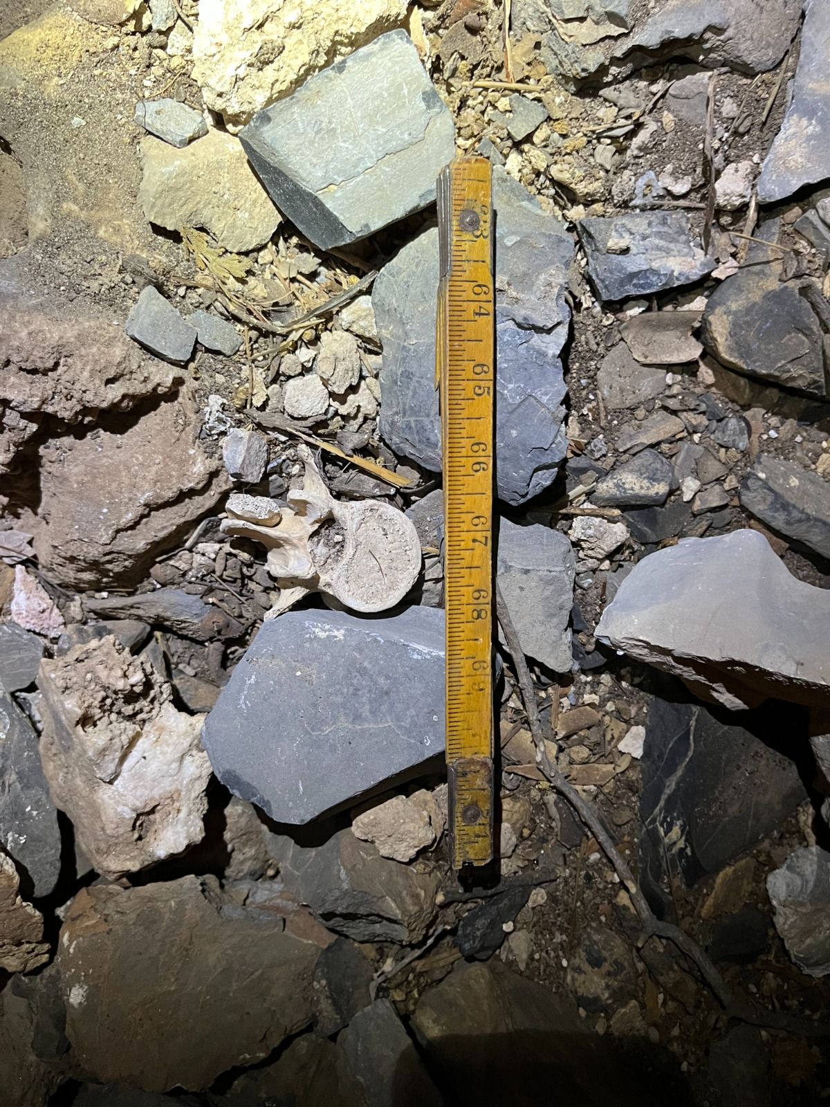 Imagen de WhatsApp 2025-07-02 a las 16.08.35_ec08d881.jpg