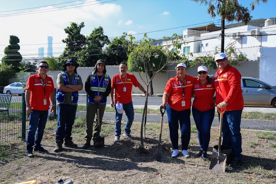JORNADA PLANTACION ARBOLES 3.jpeg