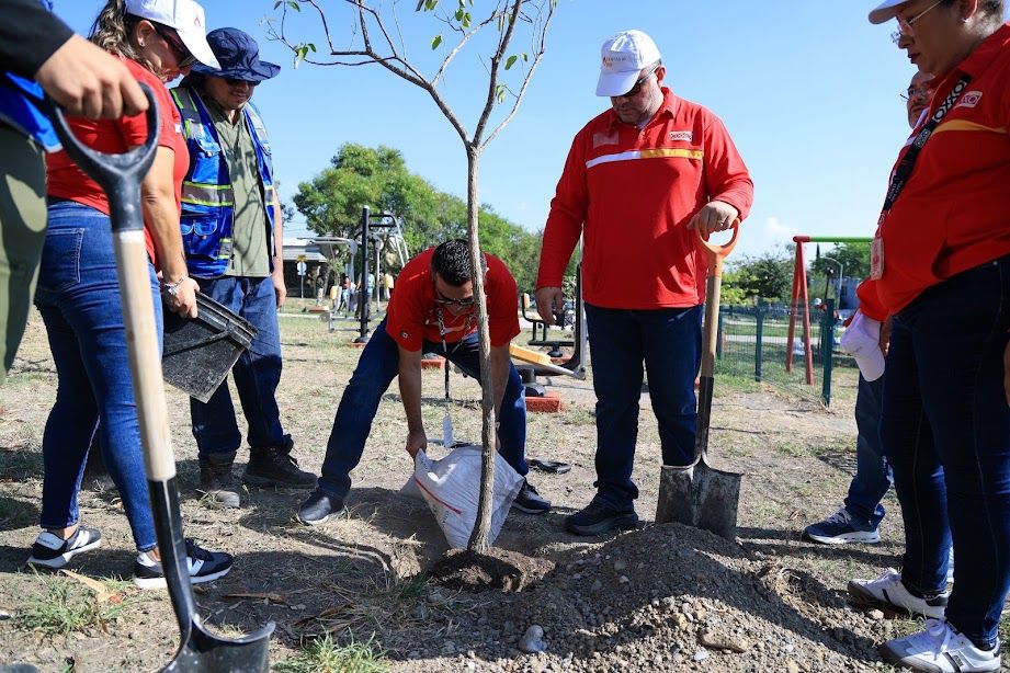 JORNADA PLANTACION ARBOLES 4.jpeg