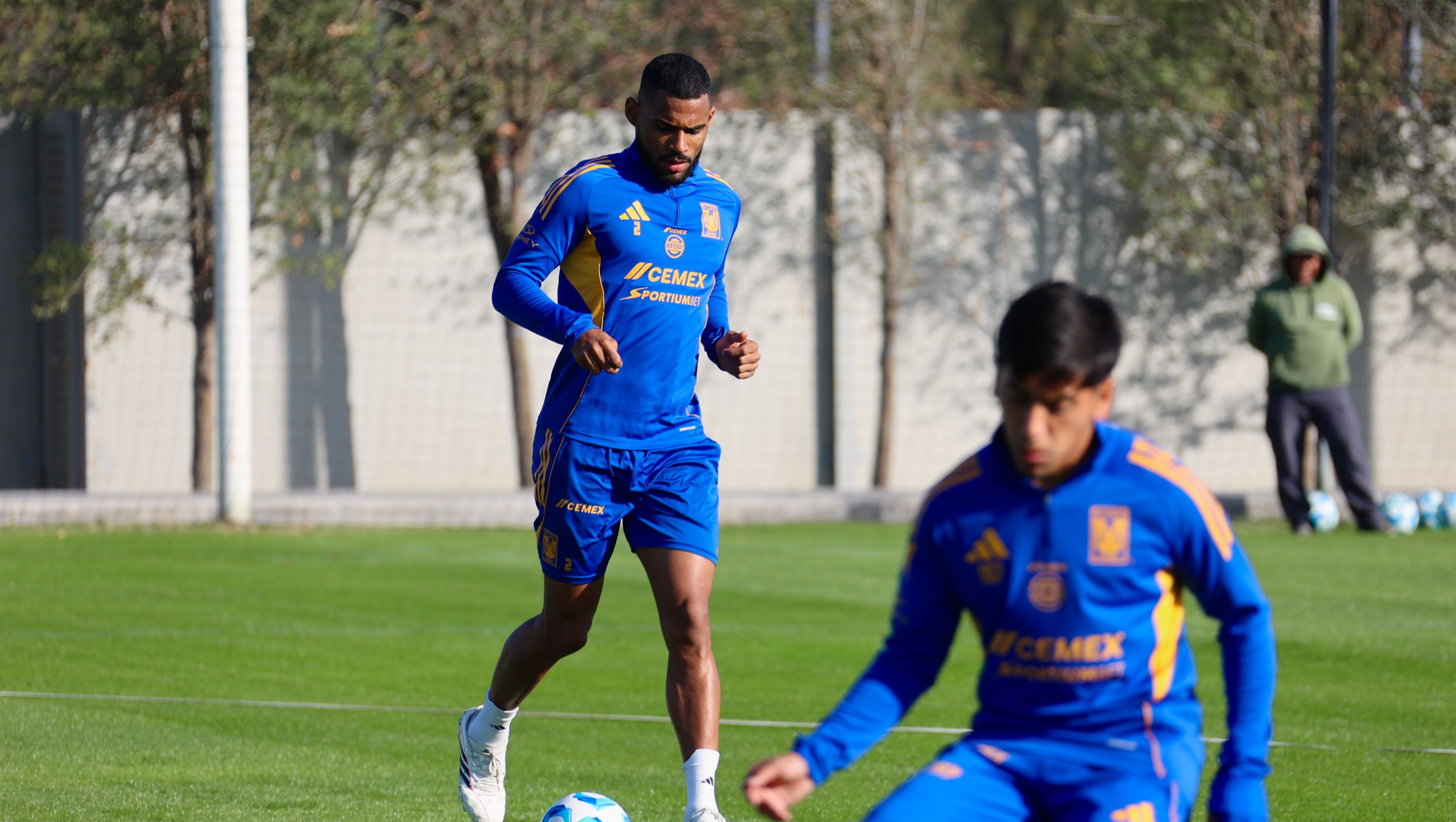 Joaquim Tigres
