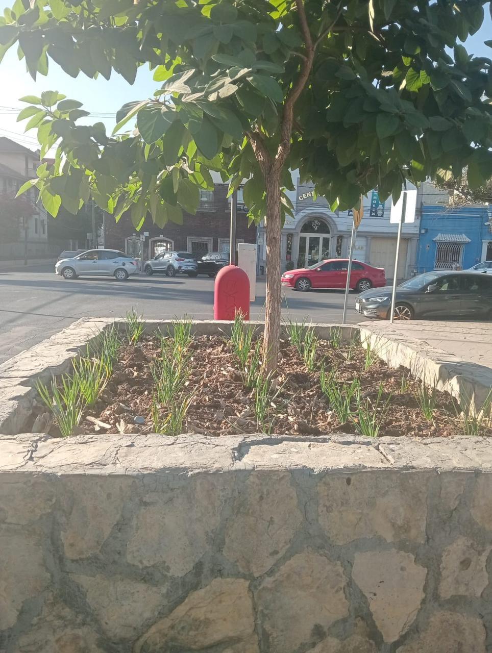 LIMPIAN X MUNDIAL 4.jpeg