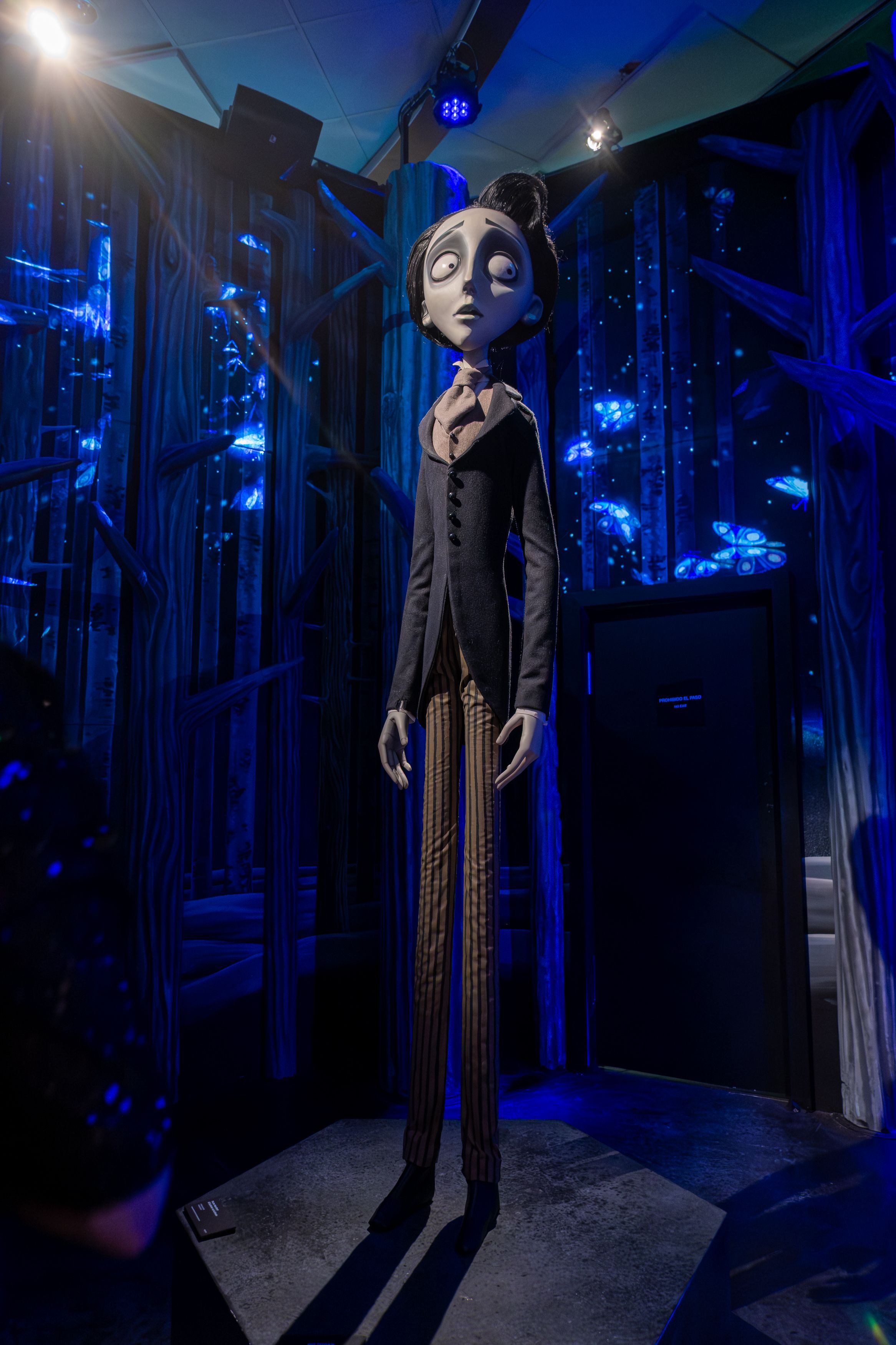 Laberinto Tim Burton-30.jpg
