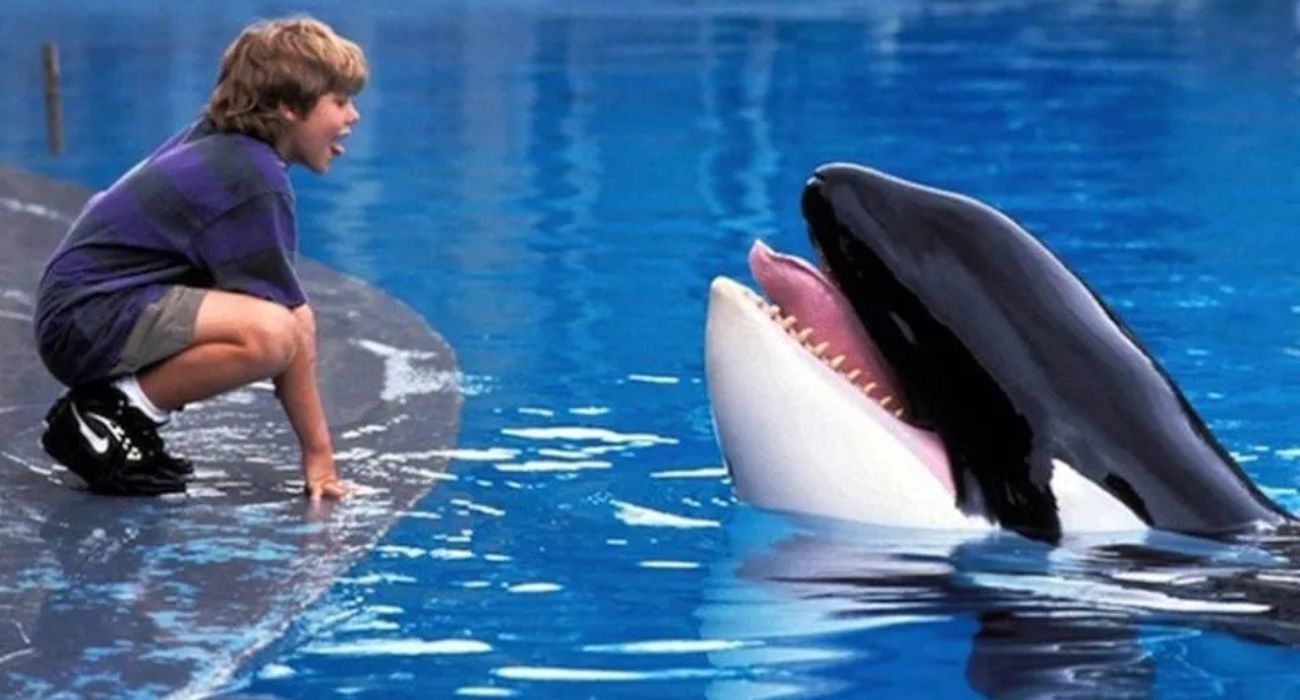 Liberen a Willy