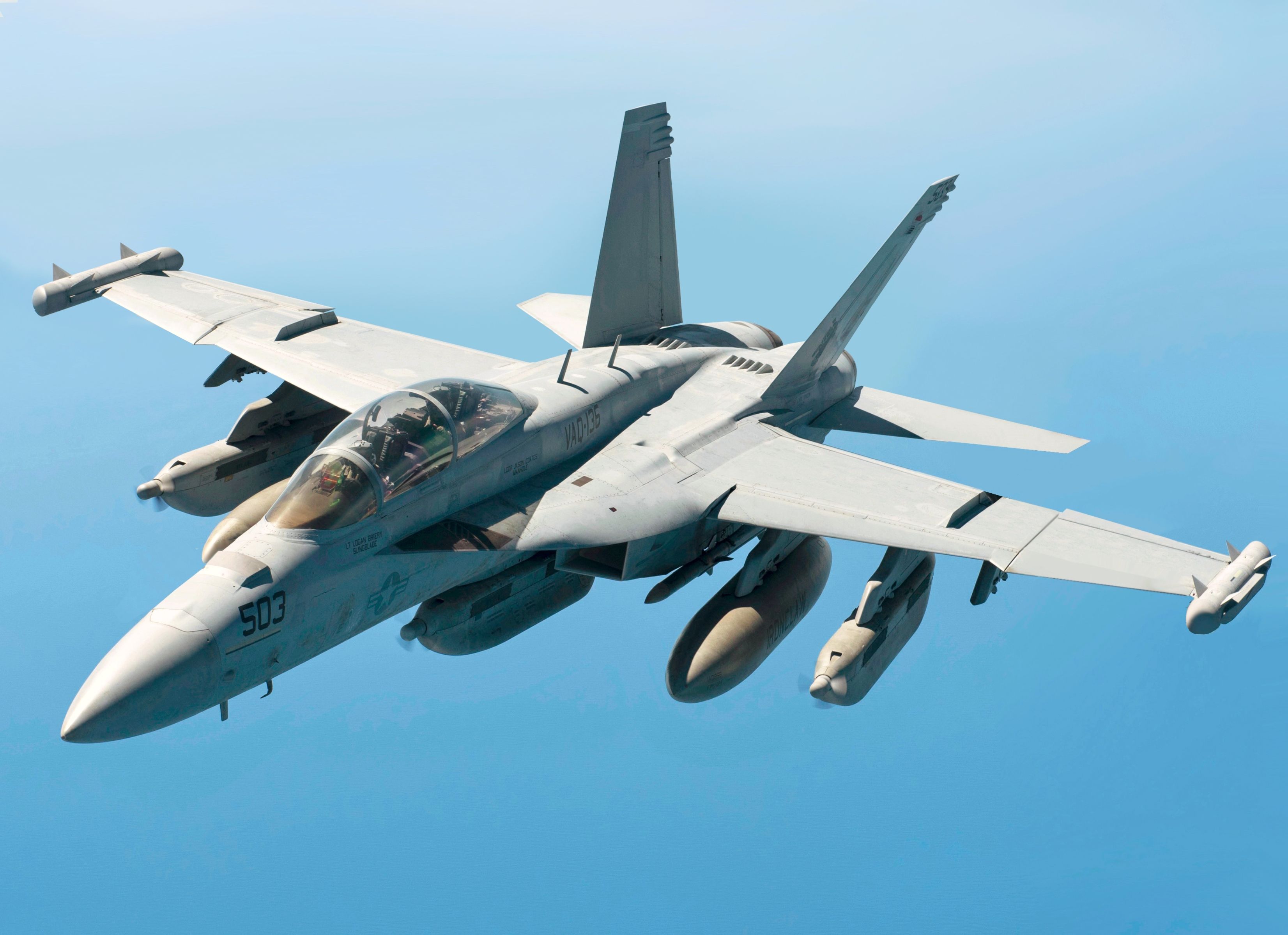 Navy_EA-18G_Growler_EUA_Venezuela.jpg
