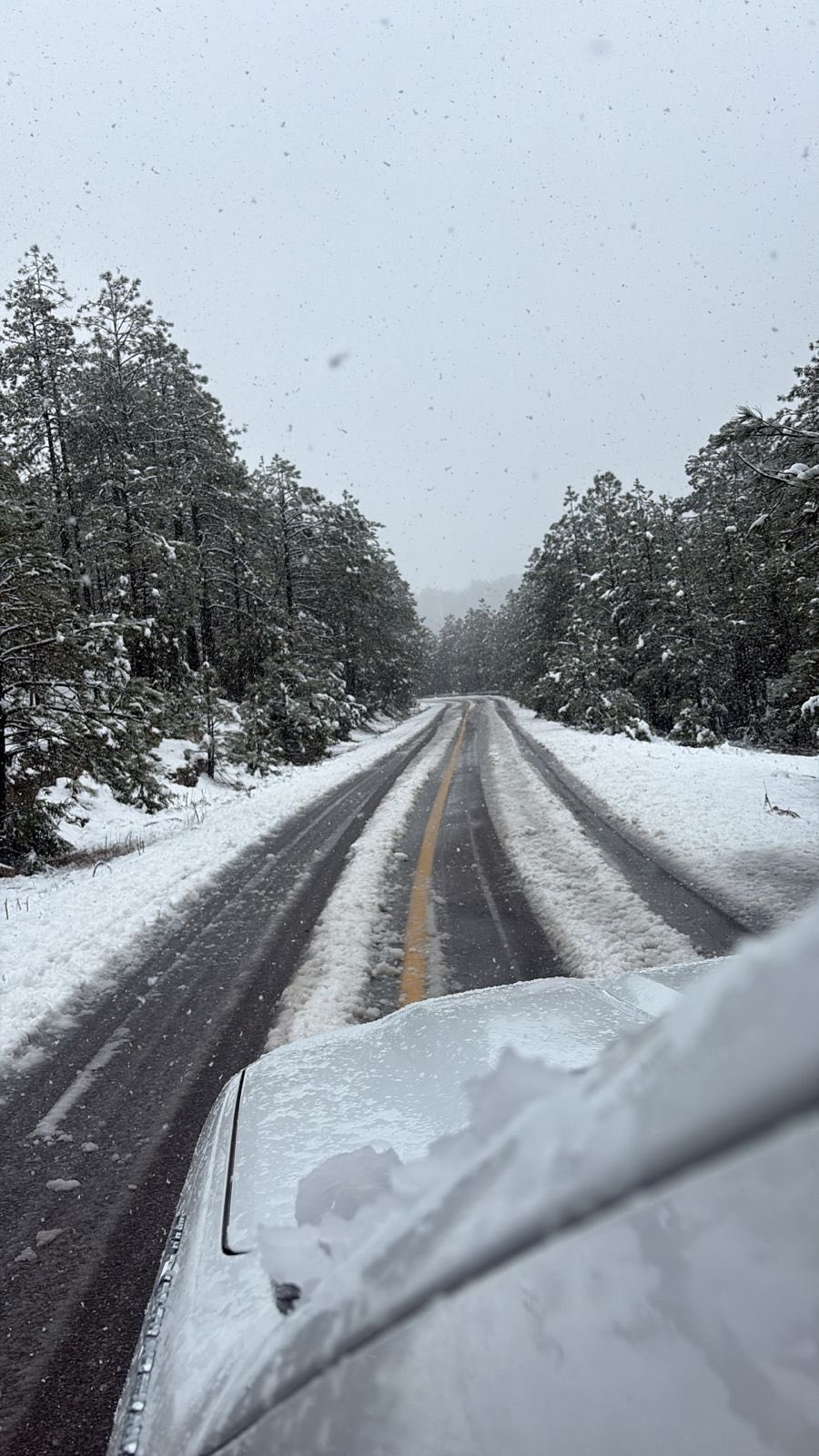 Nieve frio Chihuahua