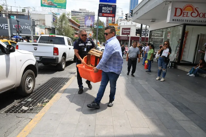 OP._COMERCIO_3.width-800.webp