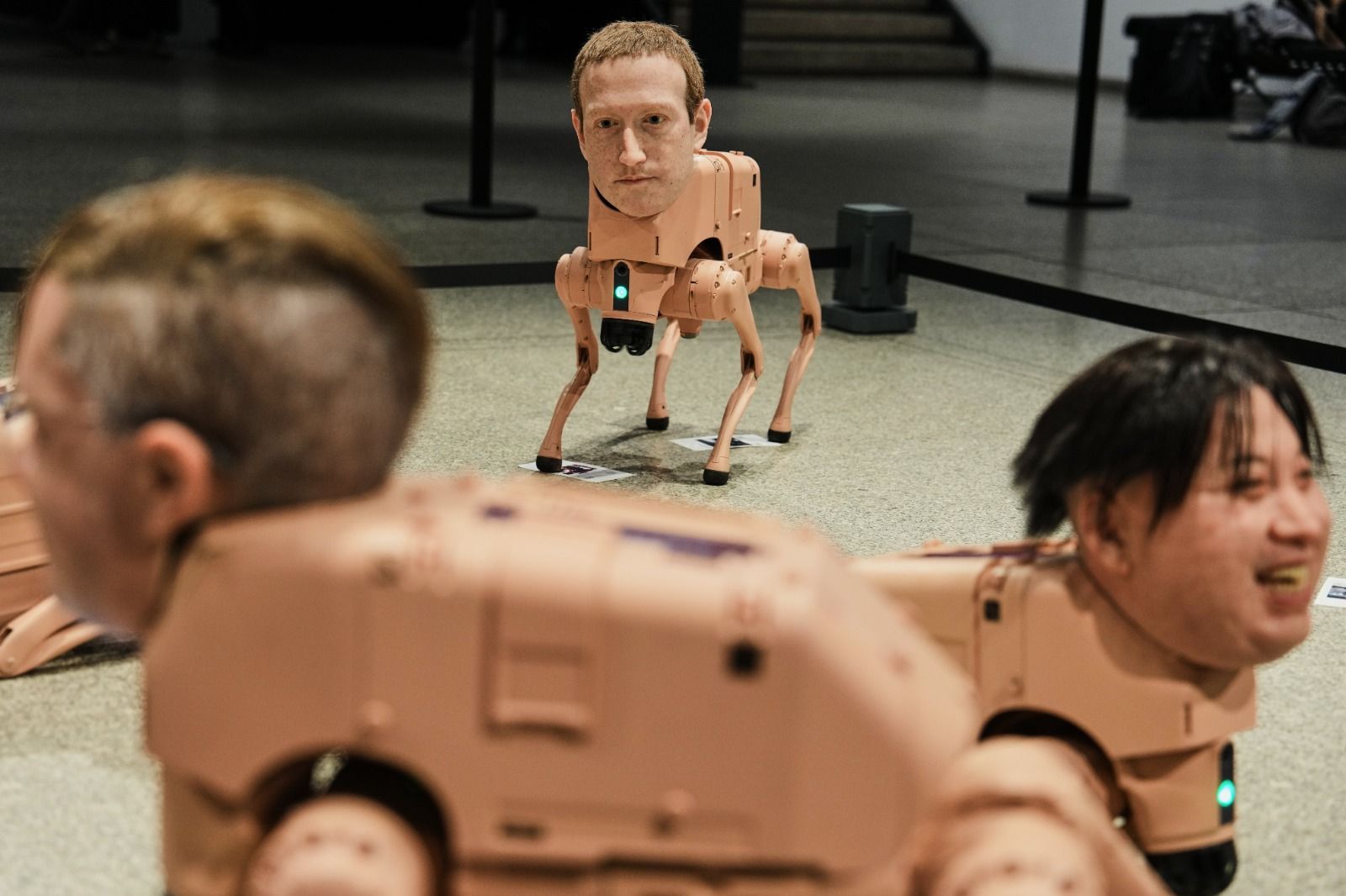 PERRO-robot.jpeg