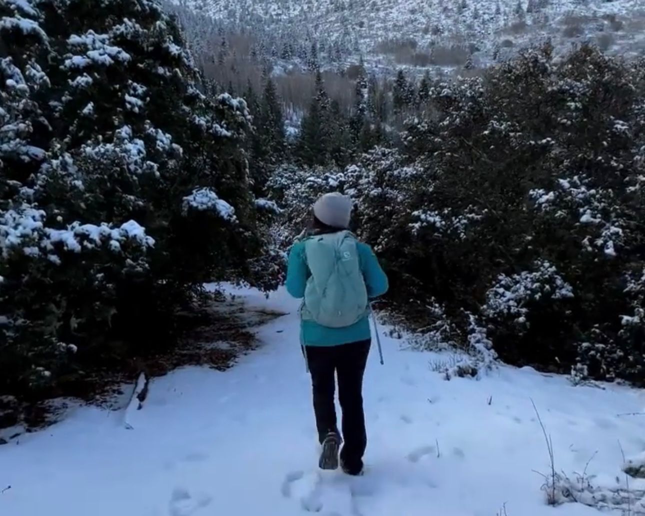 Prevén nevadas en Coahuila para última semana de diciembre.jpg