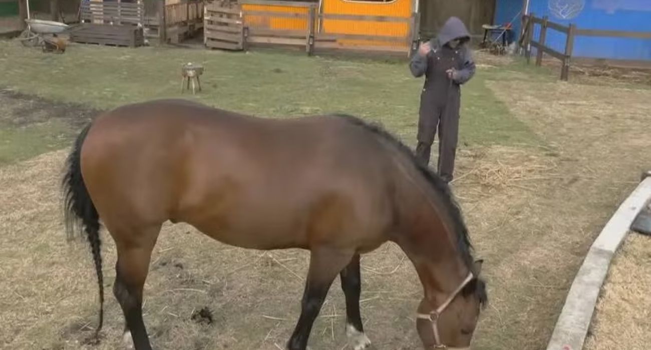 ¿Qué ocurrió con Sergio Mayer Mori en La Granja VIP.jpg