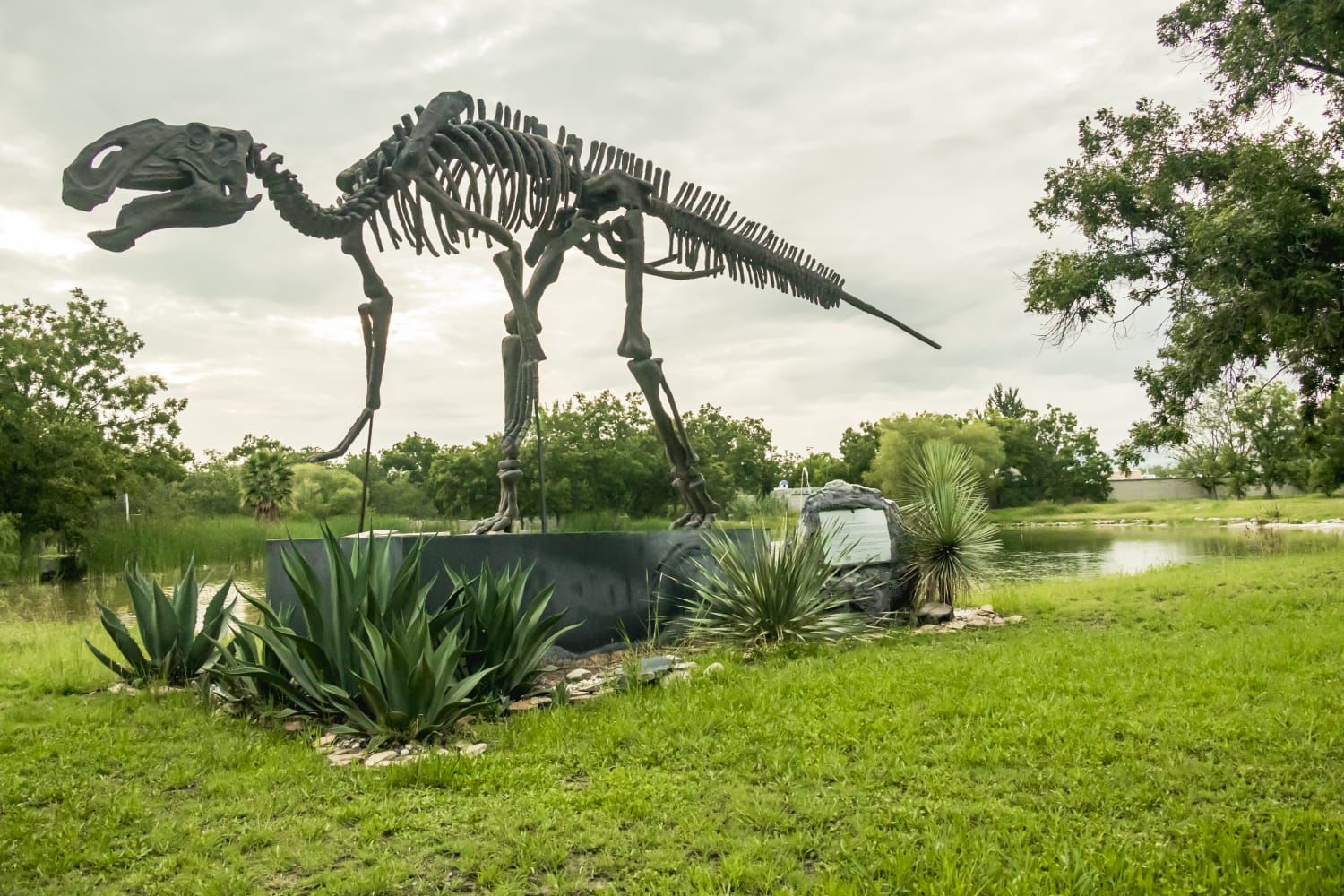 Ramos Arizpe se alista para integrarse a la Ruta Vinos y Dinos