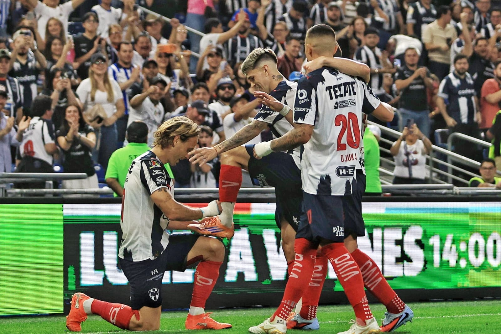 Rayados