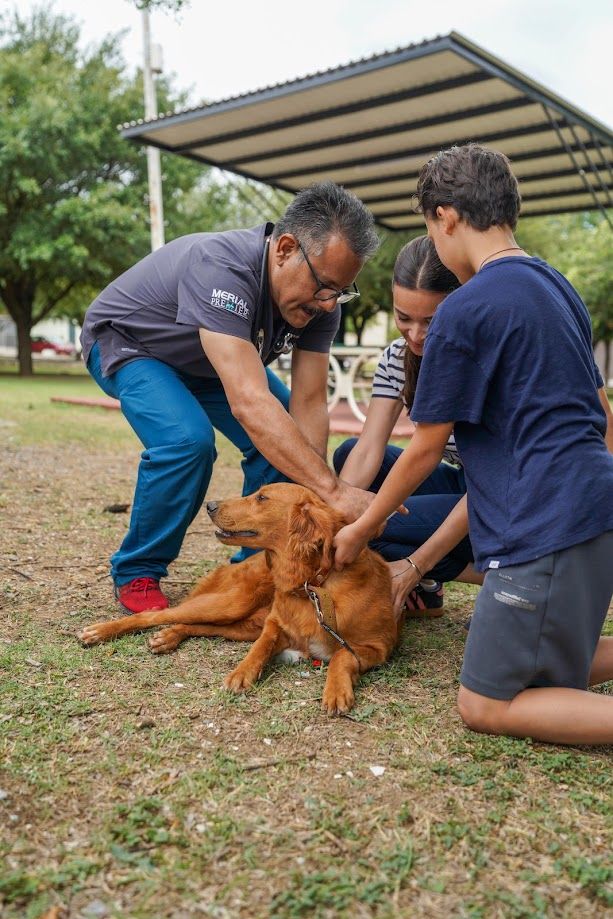 Realiza Monterrey Feria del Bienestar Animal para fomentar el cuidado responsable de las mascotas
