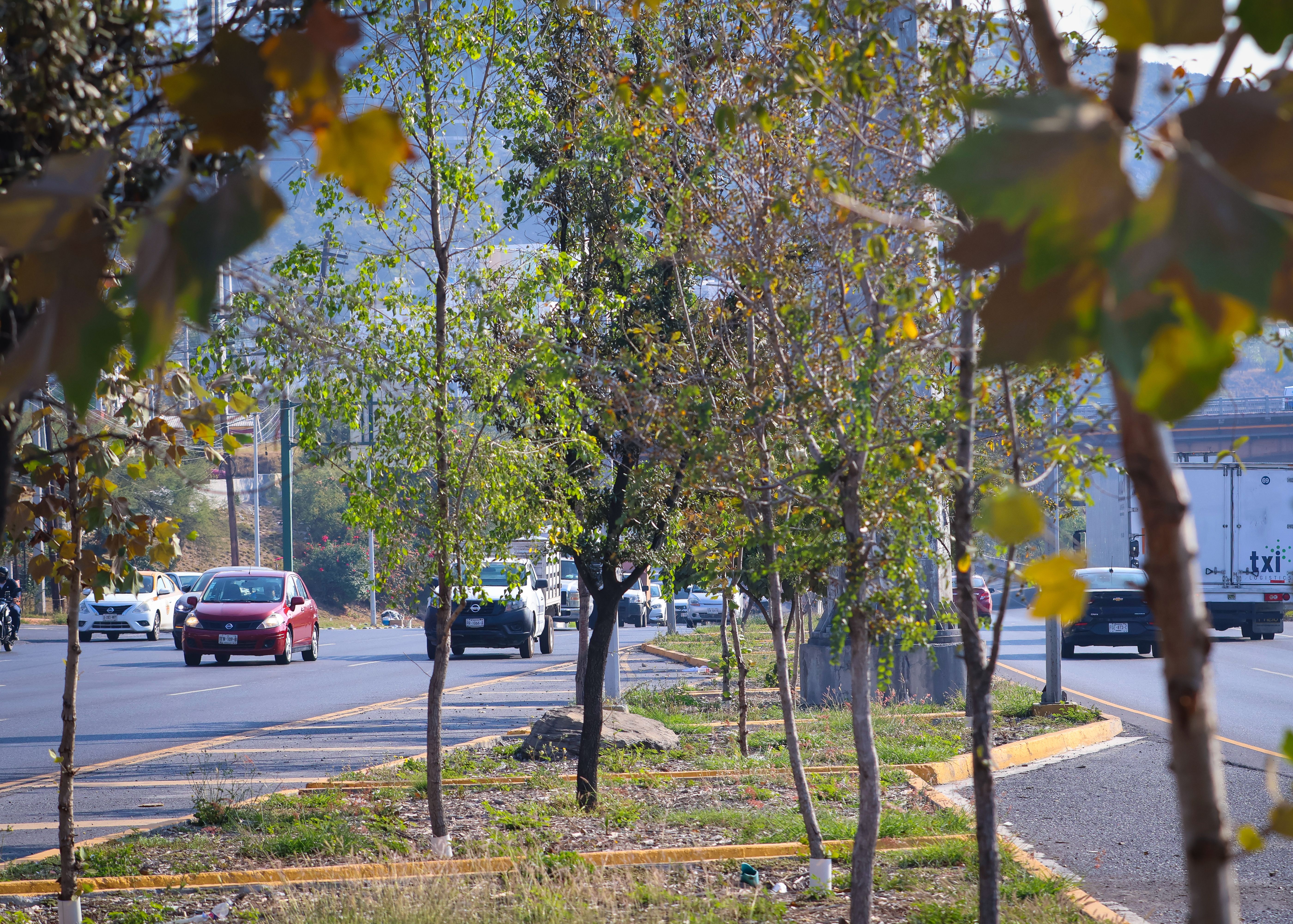 Renuevan-Centro-Monterrey-Bosques-Ciudadanos.jpg