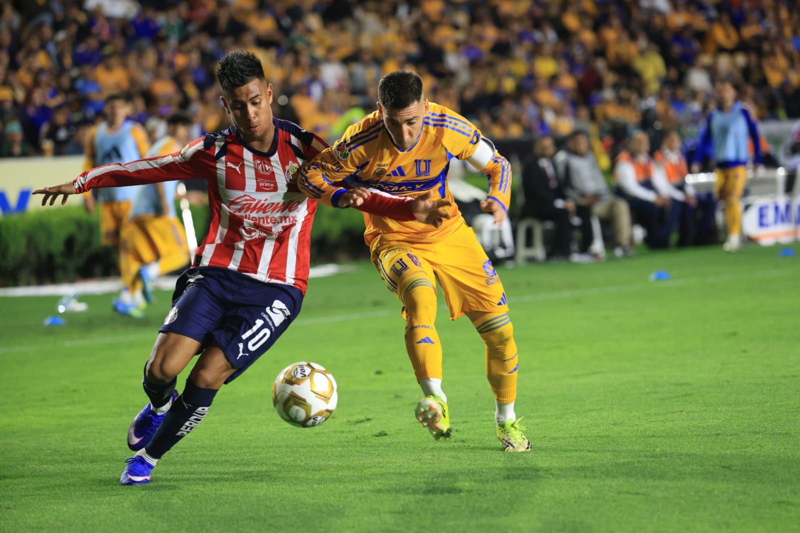 Tigres Chivas