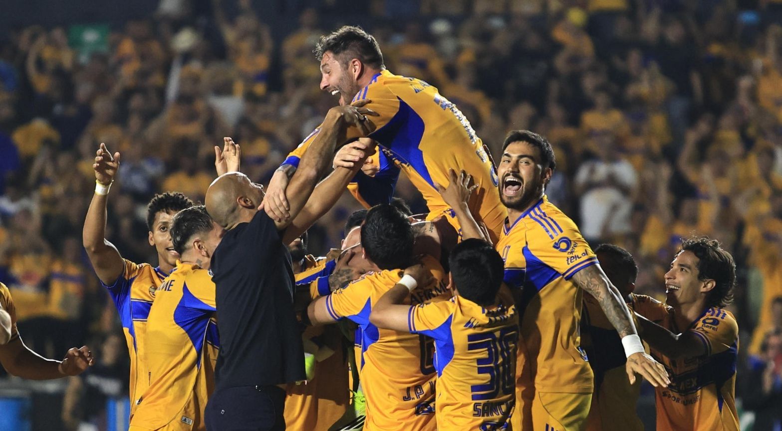 Tigres Gignac