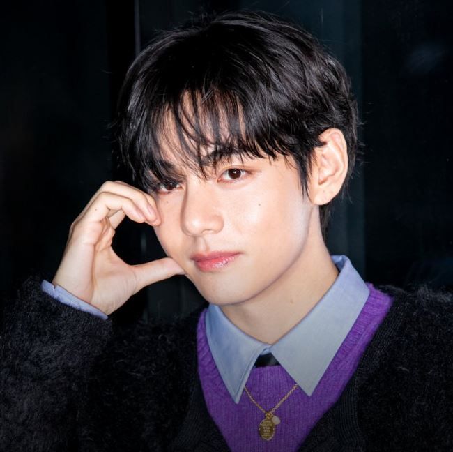 V, integrante de BTS
