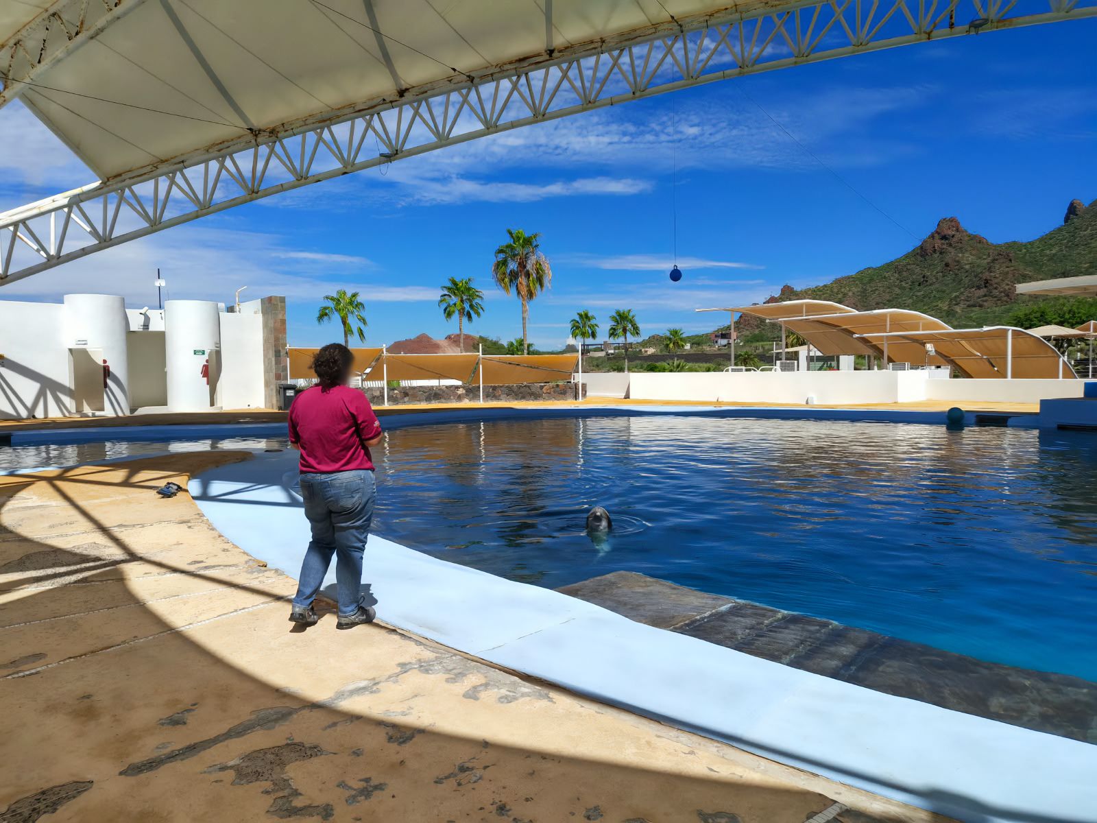 Visita._Delfinario_Sonora_Son_01.jpg