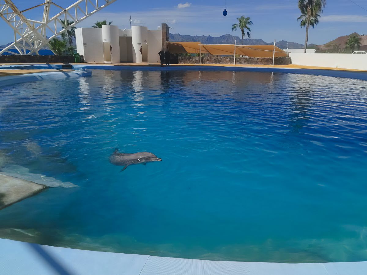 Visita._Delfinario_Sonora_Son_03.jpg