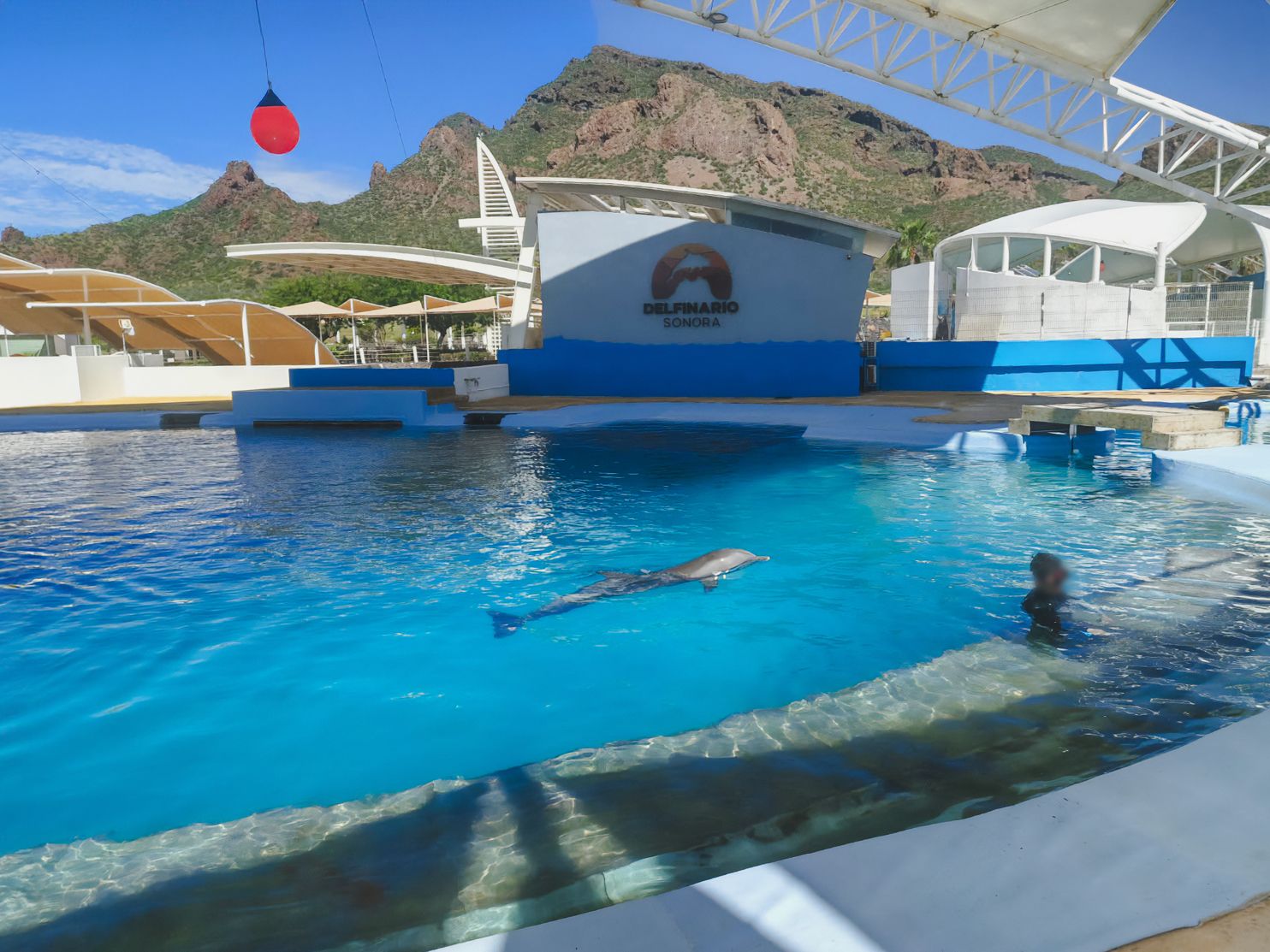 Visita._Delfinario_Sonora_Son_04.jpg