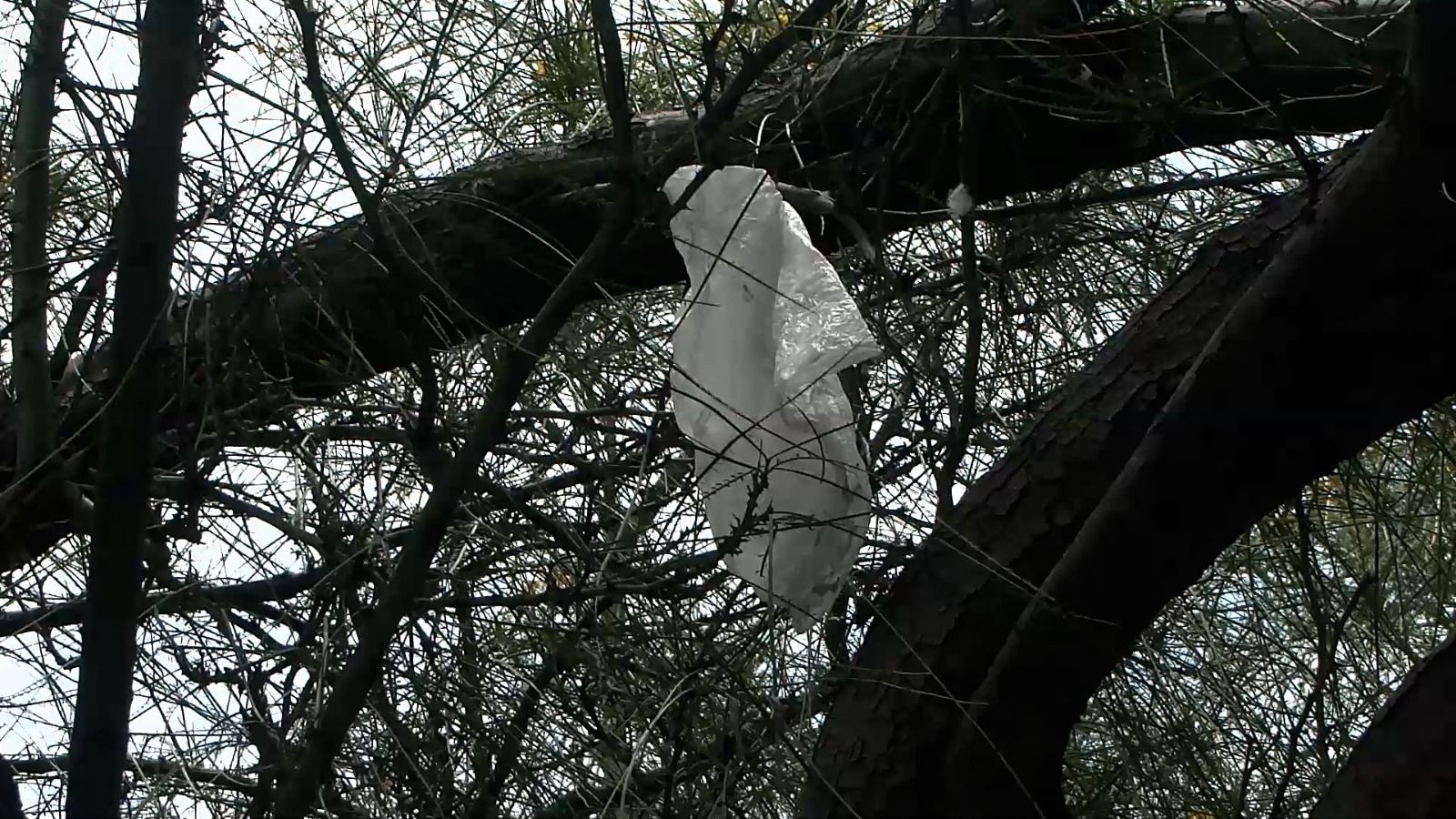 WhatsApp Image 2023-07-02 at 7.05.33 PM.jpeg