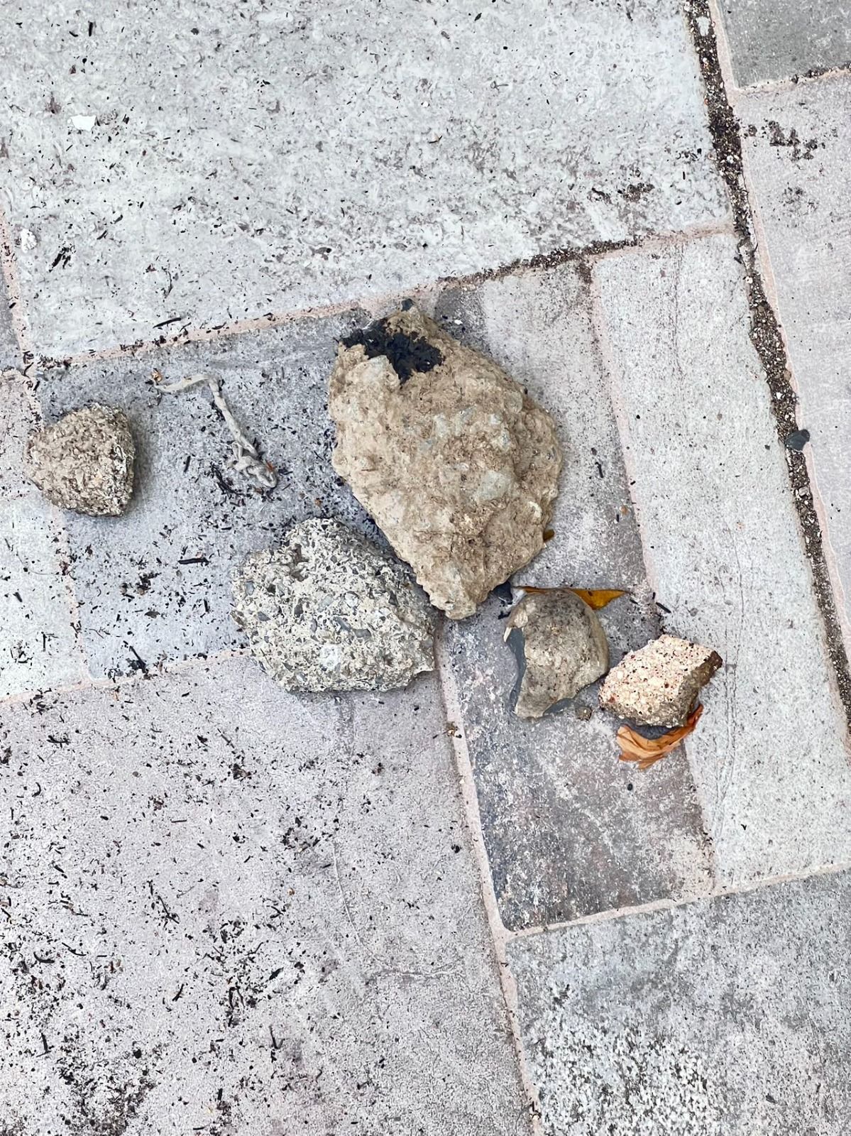 WhatsApp Image 2023-07-25 at 6.46.18 PM.jpeg