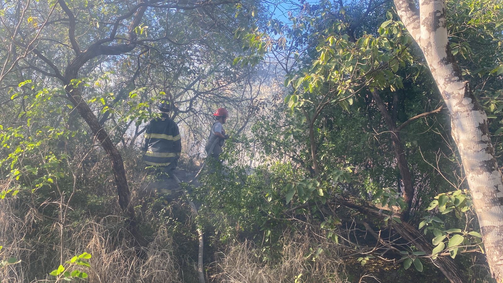 WhatsApp Image 2024-02-03 at 7.07.12 PM (1).jpeg