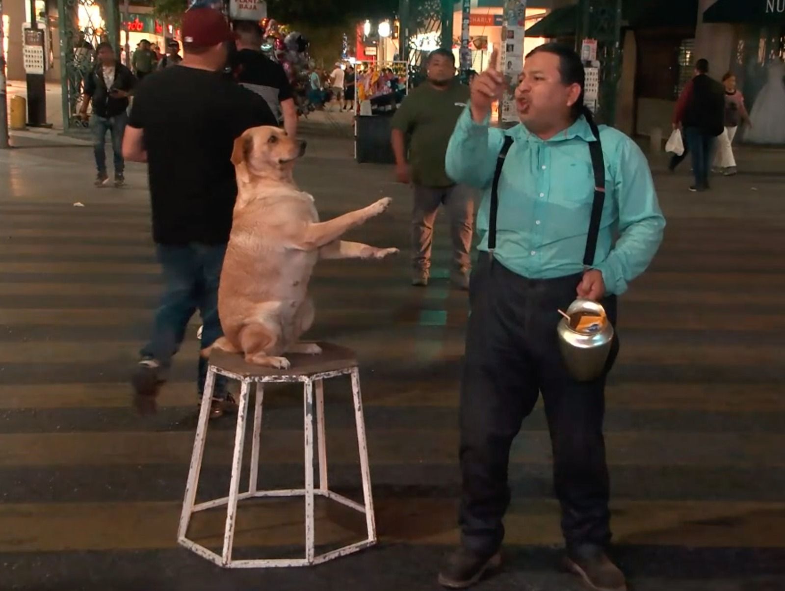 WhatsApp Image 2024-03-10 at 5.03.28 PM.jpeg