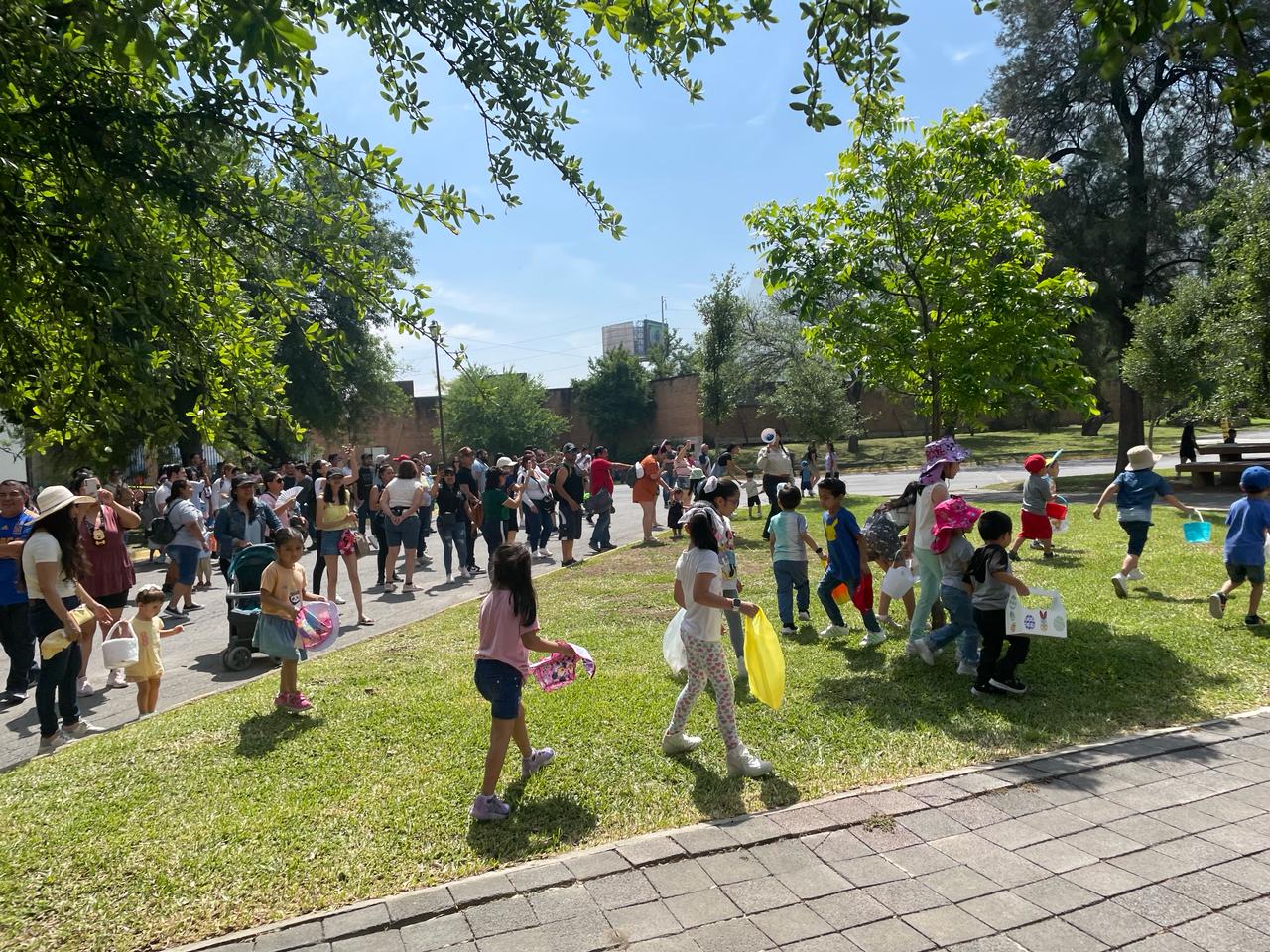 WhatsApp Image 2024-03-31 at 3.10.05 PM.jpeg