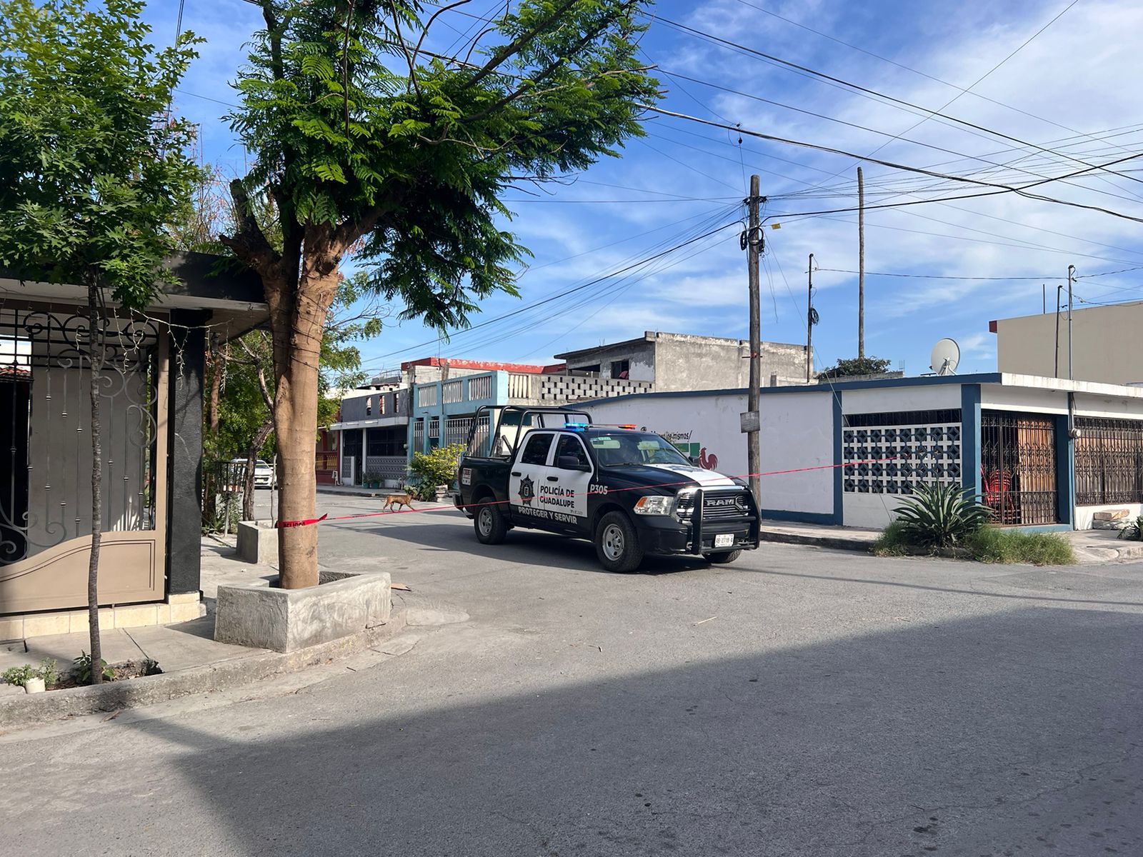 WhatsApp Image 2024-04-05 at 5.46.48 PM.jpeg