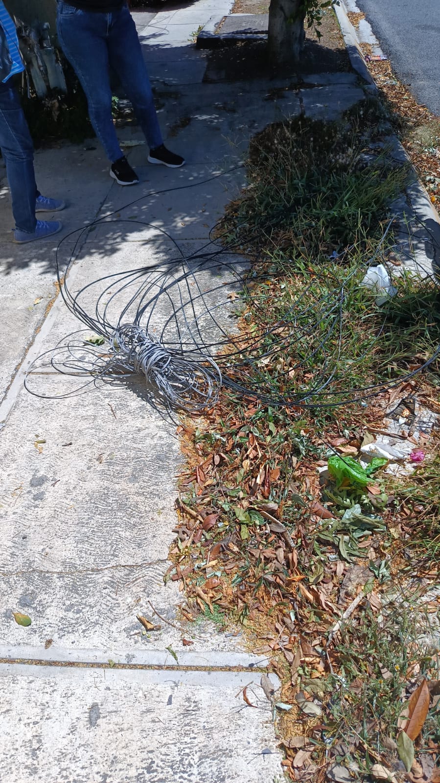 cables-colgados-tiran-a-universitaria-de-su-moto