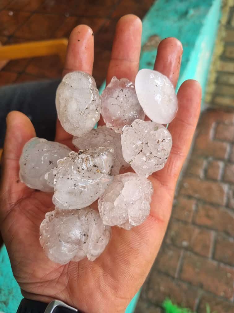 WhatsApp Image 2024-04-21 at 9.25.26 PM (1).jpeg