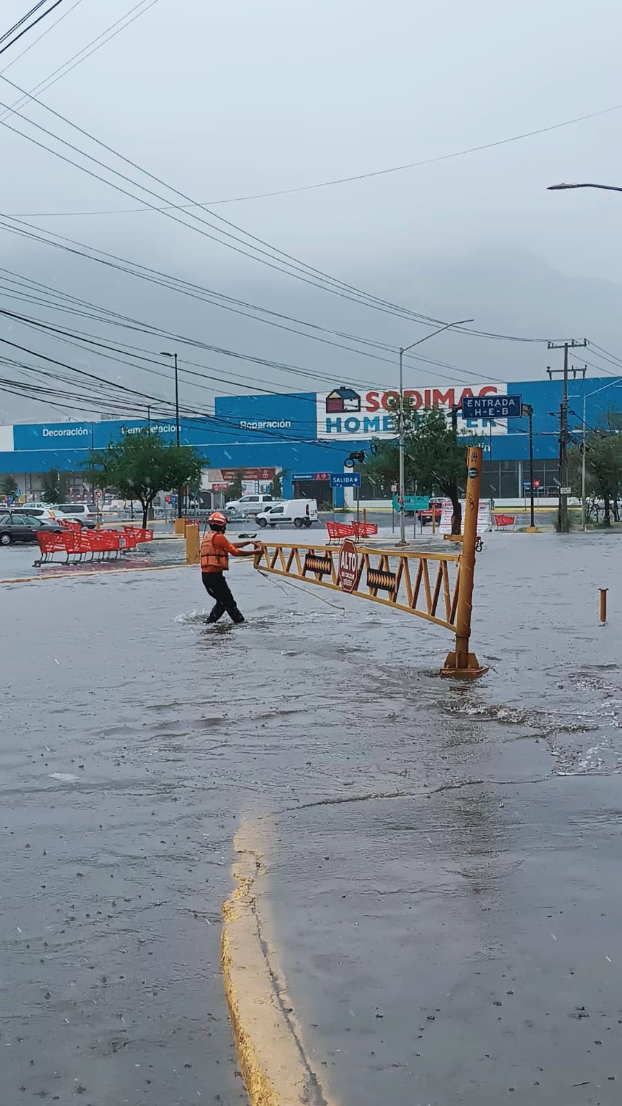 WhatsApp Image 2024-06-19 at 9.17.37 PM.jpeg