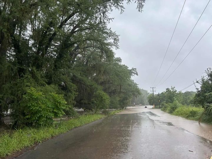 WhatsApp Image 2024-06-20 at 1.32.21 PM.jpeg