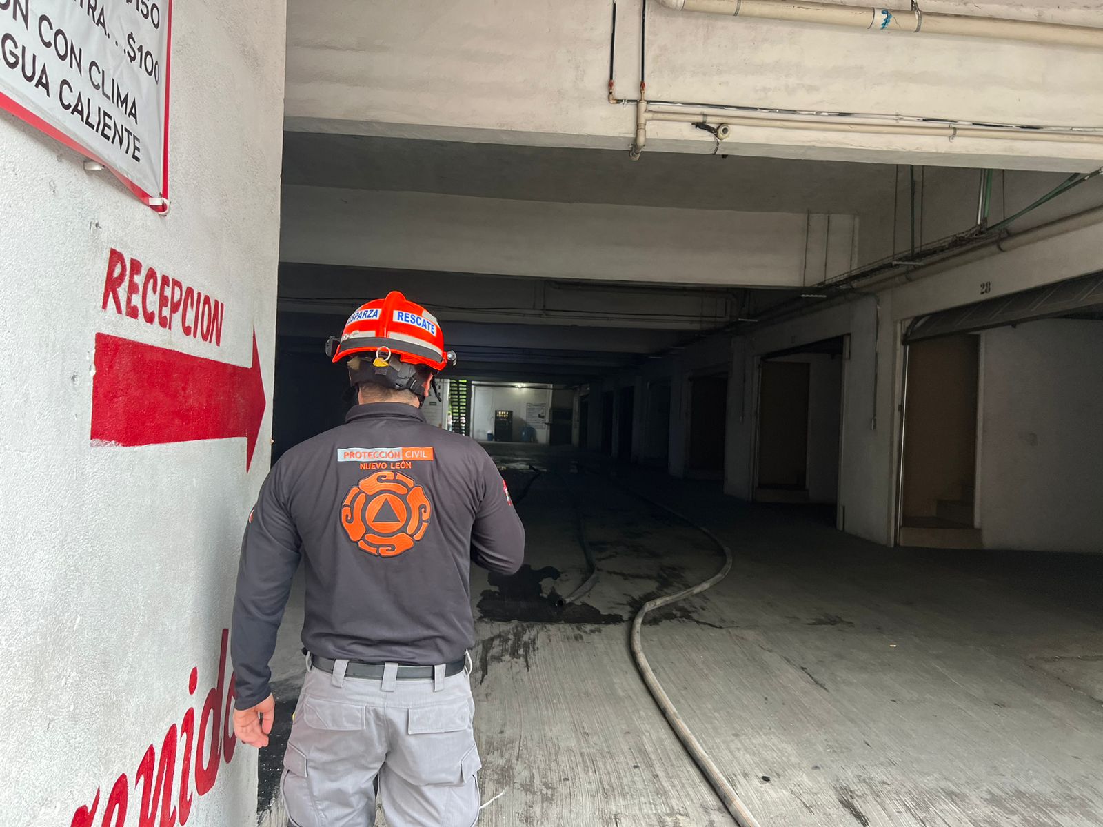 WhatsApp Image 2024-07-14 at 9.17.35 AM.jpeg