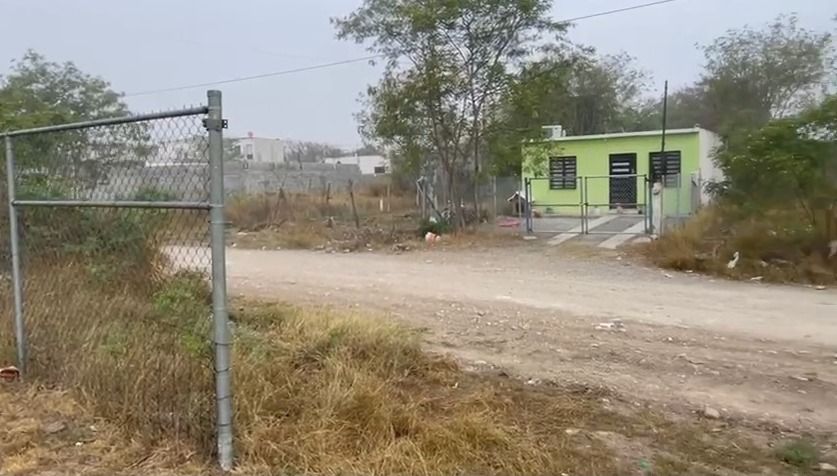 WhatsApp Image 2025-02-07 at 12.43.28 PM.jpeg