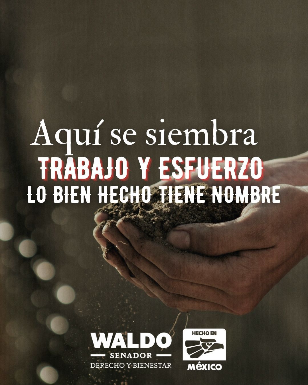 WhatsApp Image 2025-02-08 at 2.59.47 PM (2).jpeg