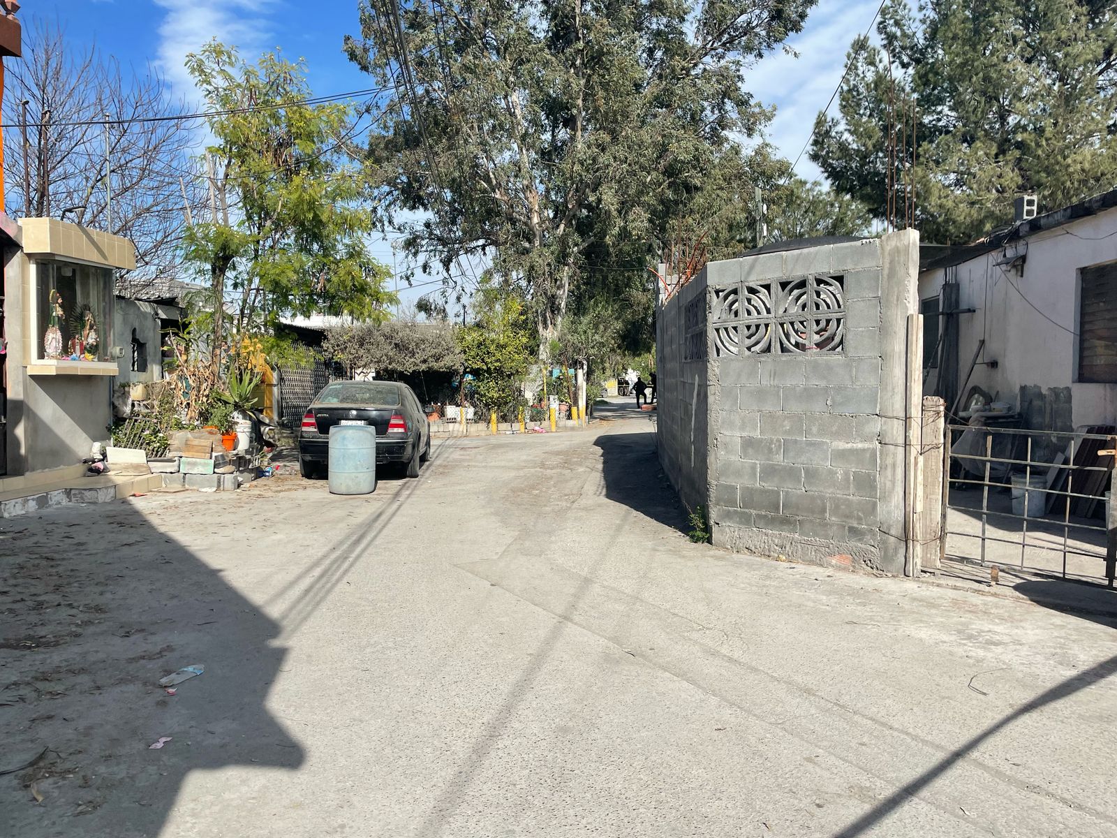 WhatsApp Image 2025-02-12 at 4.14.55 PM.jpeg