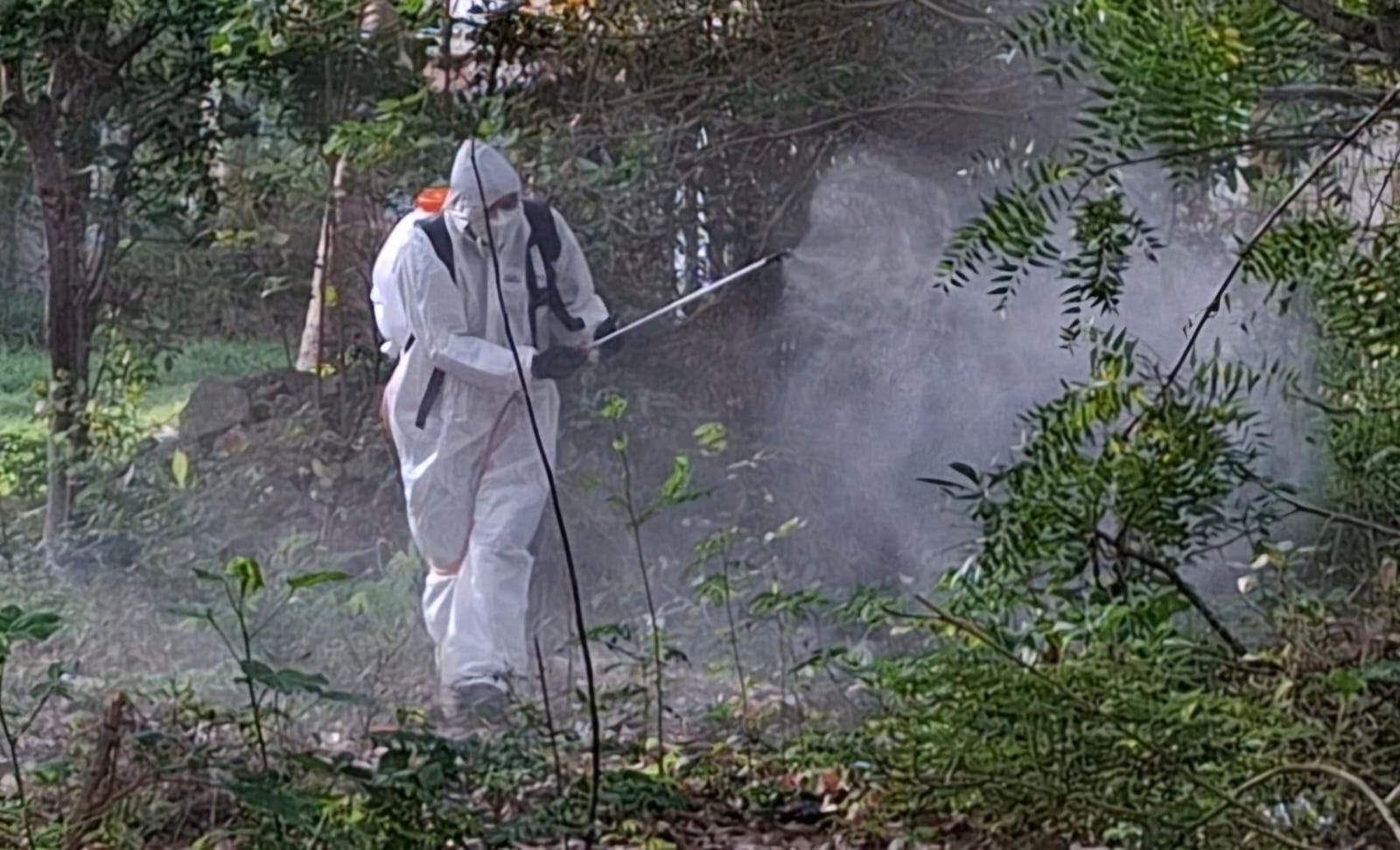 WhatsApp Image 2025-02-24 at 4.38.21 PM.jpeg