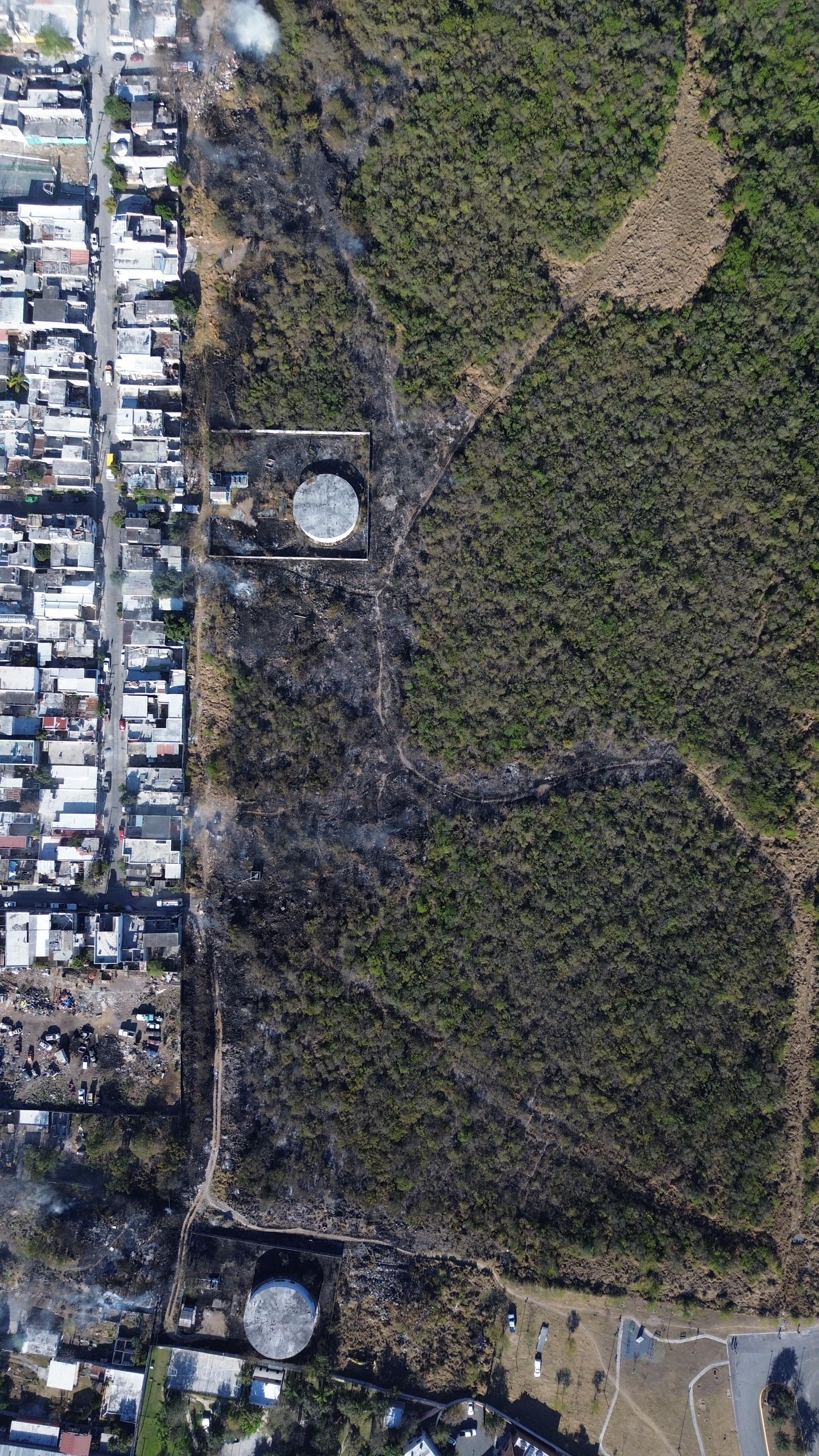 WhatsApp Image 2025-02-25 at 6.39.21 PM.jpeg