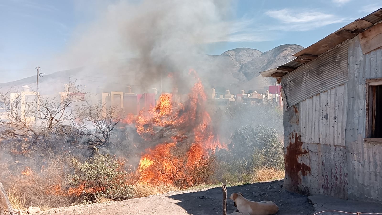 WhatsApp Image 2025-03-03 at 5.34.43 PM.jpeg