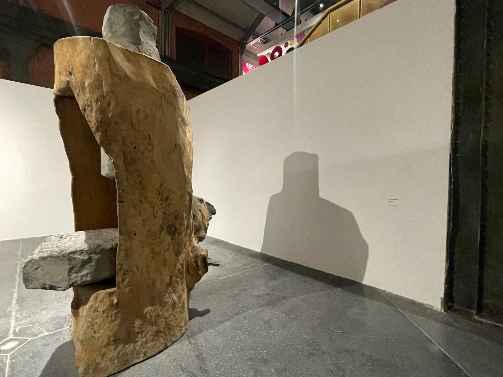 WhatsApp Image 2025-03-04 at 4.32.04 PM.jpeg