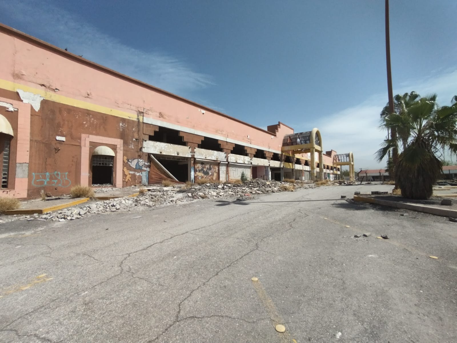 WhatsApp Image 2025-03-06 at 6.28.46 PM.jpeg